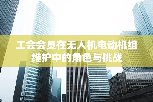 工会会员在无人机电动机组维护中的角色与挑战