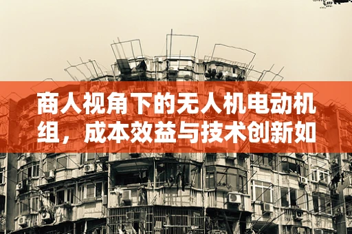 商人视角下的无人机电动机组，成本效益与技术创新如何平衡？