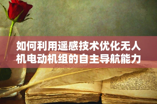 如何利用遥感技术优化无人机电动机组的自主导航能力？