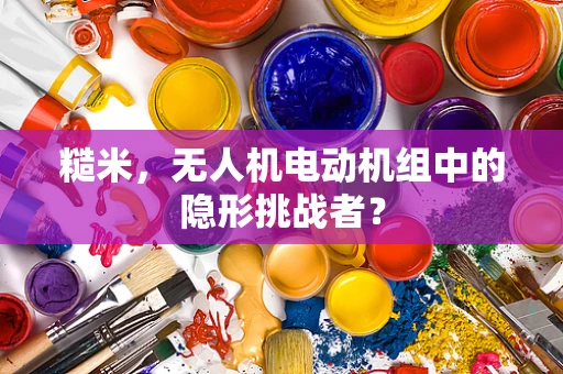 糙米，无人机电动机组中的隐形挑战者？