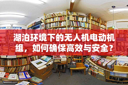 湖泊环境下的无人机电动机组，如何确保高效与安全？