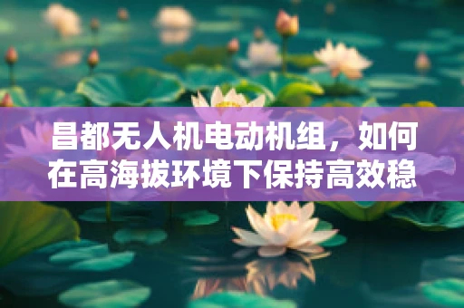 昌都无人机电动机组，如何在高海拔环境下保持高效稳定飞行？