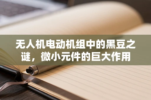 无人机电动机组中的黑豆之谜，微小元件的巨大作用