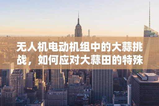 无人机电动机组中的大蒜挑战，如何应对大蒜田的特殊环境？