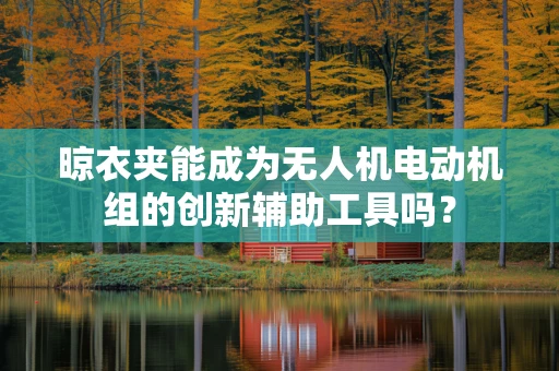 晾衣夹能成为无人机电动机组的创新辅助工具吗？