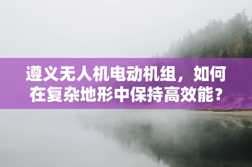 遵义无人机电动机组，如何在复杂地形中保持高效能？