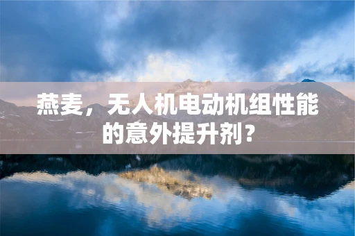 燕麦，无人机电动机组性能的意外提升剂？