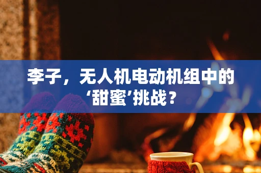 李子，无人机电动机组中的‘甜蜜’挑战？
