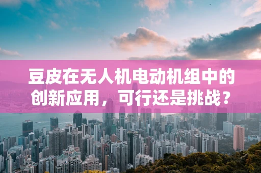 豆皮在无人机电动机组中的创新应用，可行还是挑战？