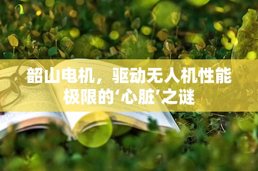 韶山电机，驱动无人机性能极限的‘心脏’之谜