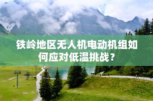 铁岭地区无人机电动机组如何应对低温挑战？