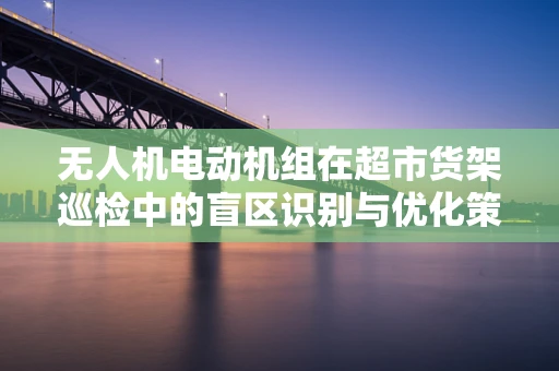 无人机电动机组在超市货架巡检中的盲区识别与优化策略