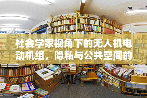 社会学家视角下的无人机电动机组，隐私与公共空间的微妙平衡