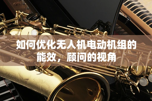 如何优化无人机电动机组的能效，顾问的视角