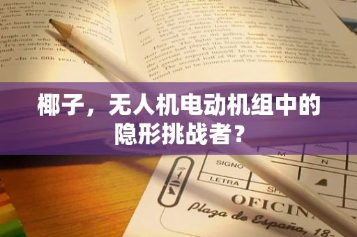 椰子，无人机电动机组中的隐形挑战者？