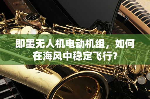 即墨无人机电动机组，如何在海风中稳定飞行？
