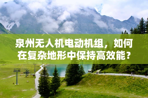 泉州无人机电动机组，如何在复杂地形中保持高效能？