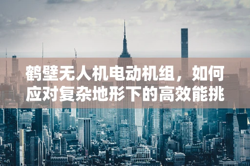 鹤壁无人机电动机组，如何应对复杂地形下的高效能挑战？
