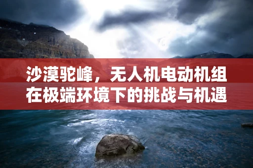 沙漠驼峰，无人机电动机组在极端环境下的挑战与机遇？