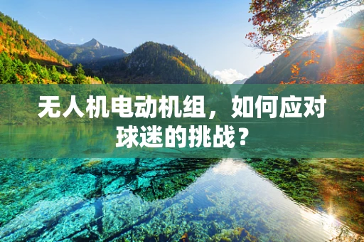 无人机电动机组，如何应对球迷的挑战？