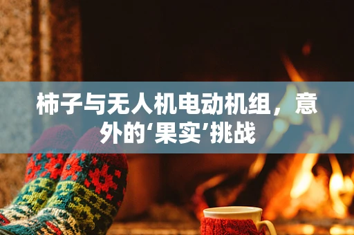 柿子与无人机电动机组，意外的‘果实’挑战