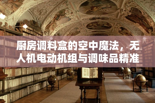 厨房调料盒的空中魔法，无人机电动机组与调味品精准投放的奇妙结合？