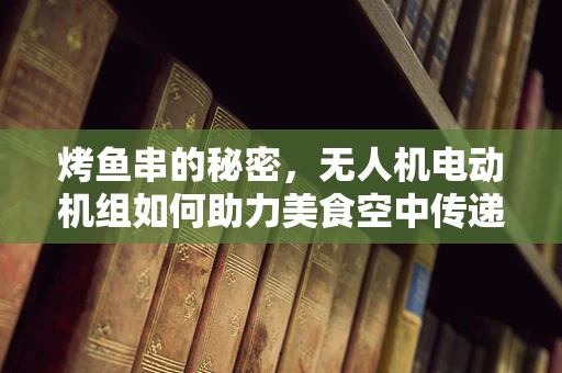 烤鱼串的秘密，无人机电动机组如何助力美食空中传递？
