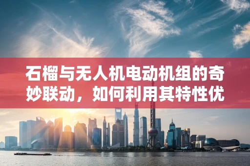 石榴与无人机电动机组的奇妙联动，如何利用其特性优化飞行稳定性？