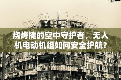 烧烤摊的空中守护者，无人机电动机组如何安全护航？