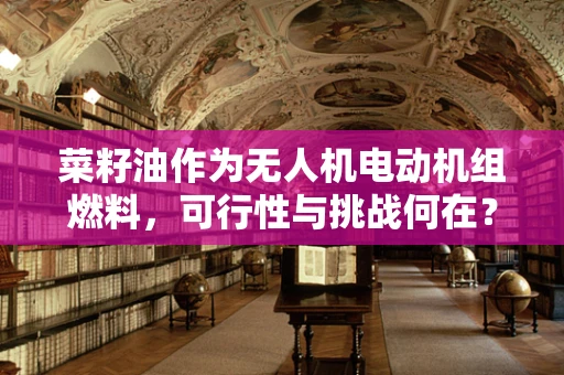菜籽油作为无人机电动机组燃料，可行性与挑战何在？