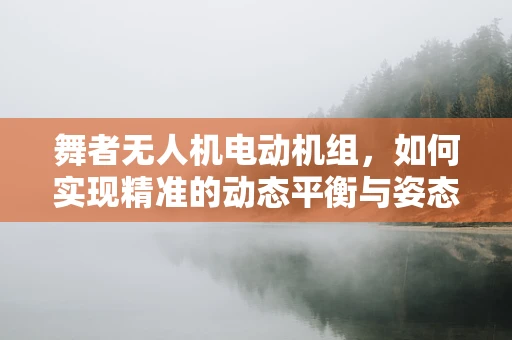 舞者无人机电动机组，如何实现精准的动态平衡与姿态控制？