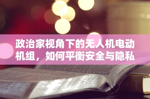 政治家视角下的无人机电动机组，如何平衡安全与隐私的‘空中博弈’？