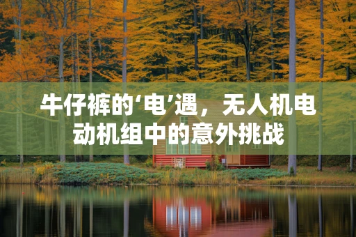 牛仔裤的‘电’遇，无人机电动机组中的意外挑战