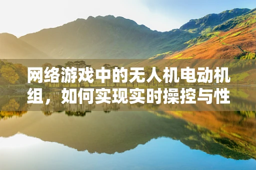 网络游戏中的无人机电动机组，如何实现实时操控与性能优化？