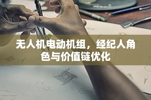 无人机电动机组，经纪人角色与价值链优化