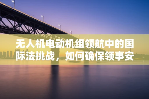 无人机电动机组领航中的国际法挑战，如何确保领事安全？