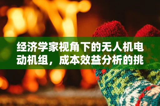 经济学家视角下的无人机电动机组，成本效益分析的挑战与机遇