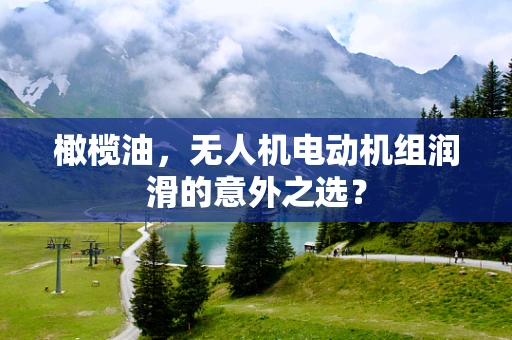 橄榄油，无人机电动机组润滑的意外之选？