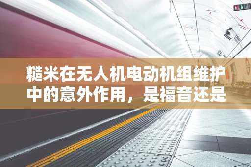 糙米在无人机电动机组维护中的意外作用，是福音还是陷阱？