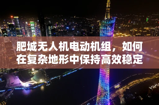 肥城无人机电动机组，如何在复杂地形中保持高效稳定？