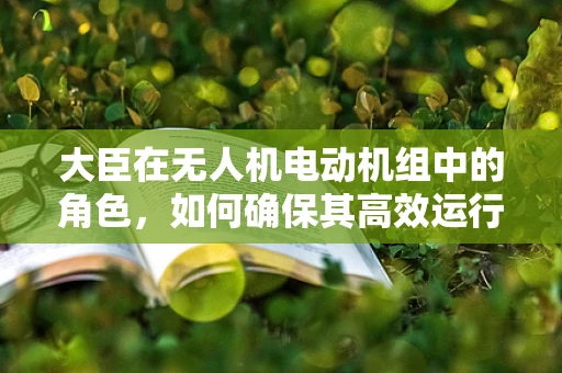大臣在无人机电动机组中的角色，如何确保其高效运行与安全？