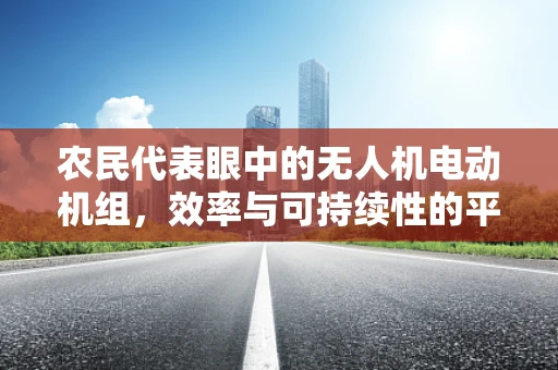 农民代表眼中的无人机电动机组，效率与可持续性的平衡点何在？