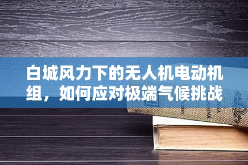白城风力下的无人机电动机组，如何应对极端气候挑战？