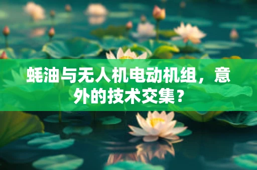 蚝油与无人机电动机组，意外的技术交集？