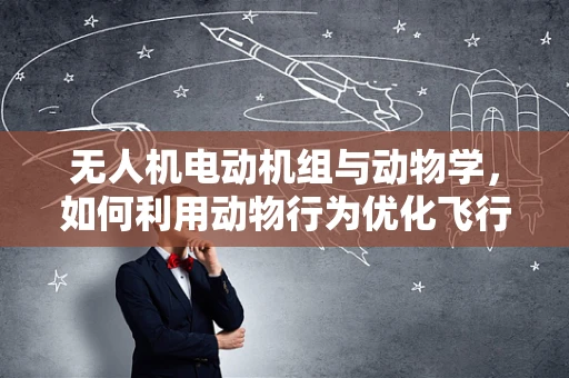 无人机电动机组与动物学，如何利用动物行为优化飞行路径？
