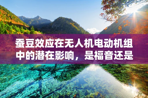 蚕豆效应在无人机电动机组中的潜在影响，是福音还是挑战？