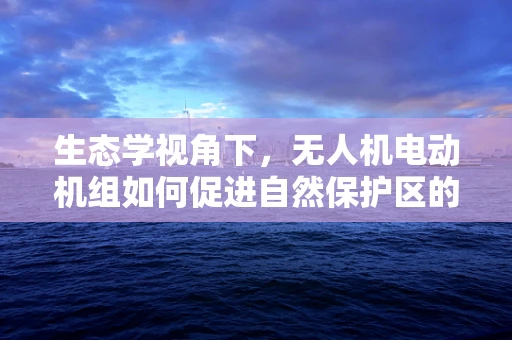 生态学视角下，无人机电动机组如何促进自然保护区的和谐共存？