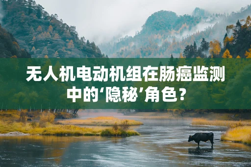 无人机电动机组在肠癌监测中的‘隐秘’角色？