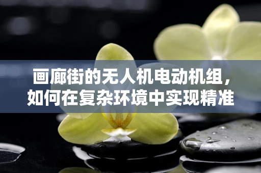 画廊街的无人机电动机组，如何在复杂环境中实现精准控制？