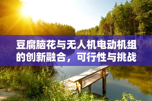 豆腐脑花与无人机电动机组的创新融合，可行性与挑战何在？